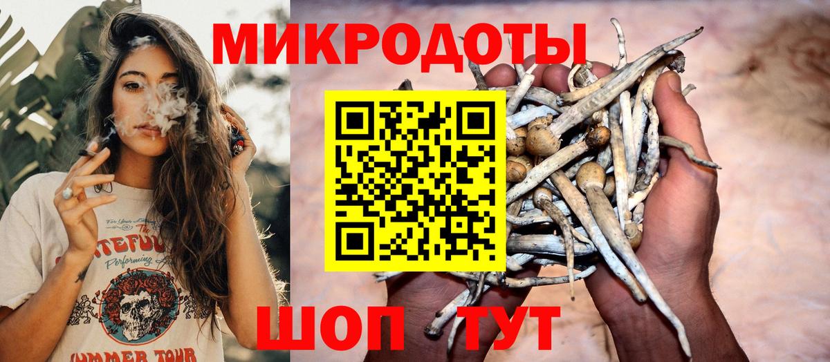 Галлюциногенные грибы Cubensis Кушва