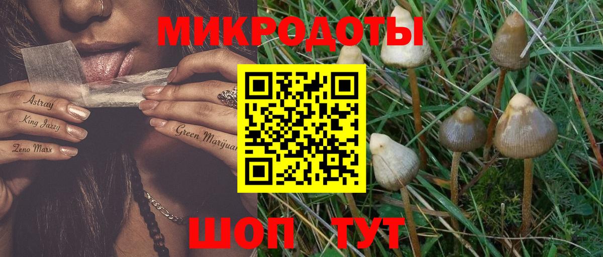 Кушва  Галлюциногенные грибы MAGIC MUSHROOMS  Вход с VPN 